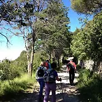 Dei Fiori