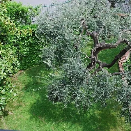 Apartahotel Dei Fiori