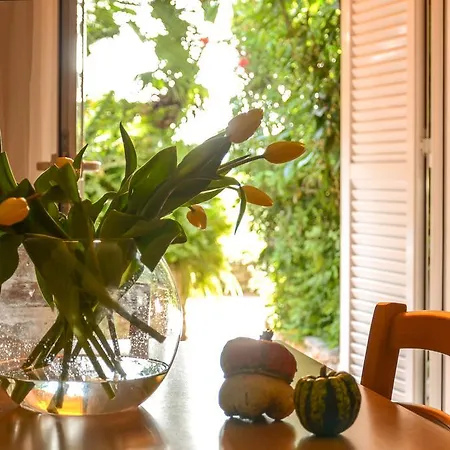 Dei Fiori Lejlighedshotel Pietra Ligure