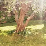 Dei Fiori