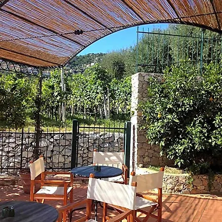 Dei Fiori