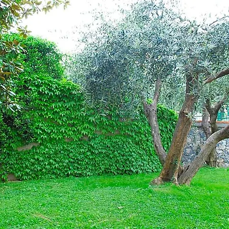 Dei Fiori Aparthotel Pietra Ligure