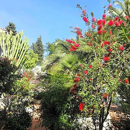 Aparthotel Dei Fiori Pietra Ligure