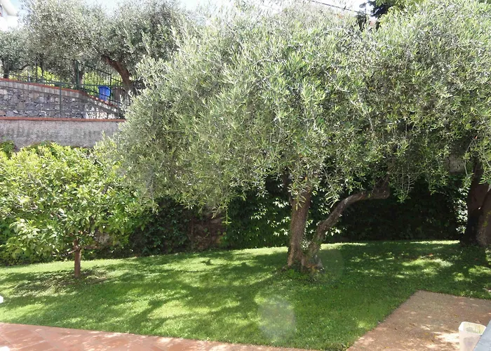 Dei Fiori 3* Pietra Ligure